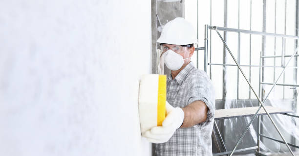 Best Industrial Mold Remediation  in Union City, GA